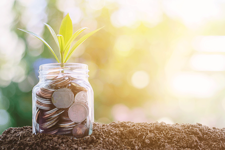 Coins growth