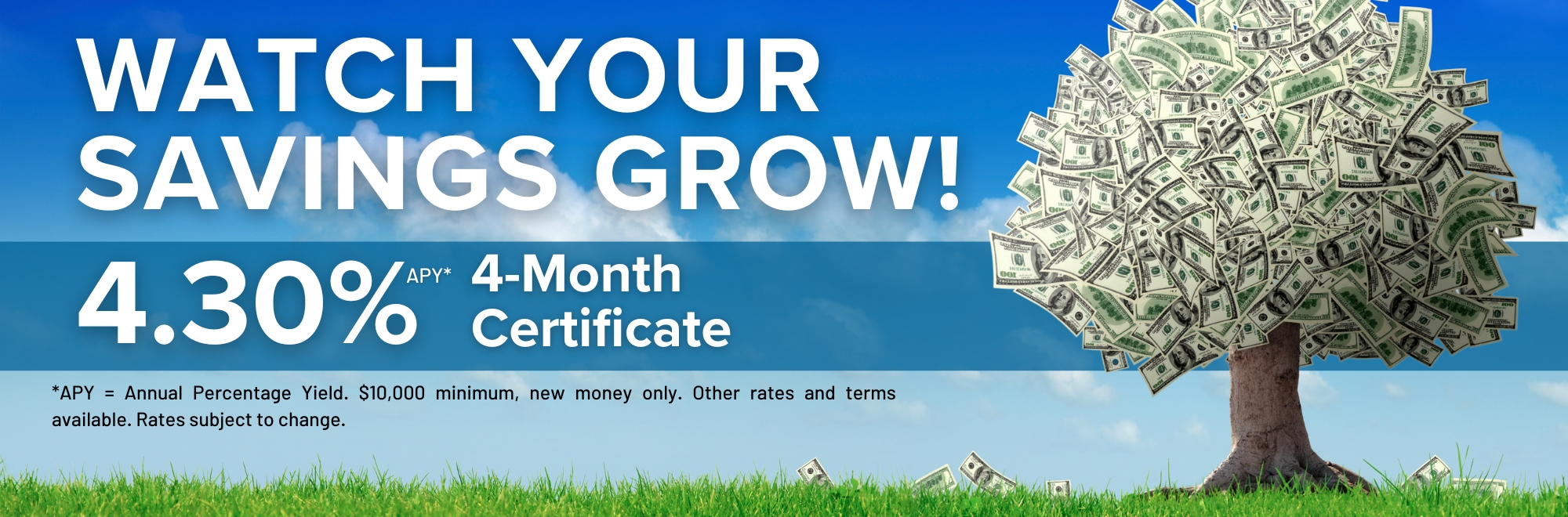 Watch your savings grow with our 4 month certificate special earning 4.30% Annual Percentage Yield. $10,000 minimum, new money only. Other rates and terms available. Subject to change.